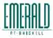 Emerald at Brickell Condos